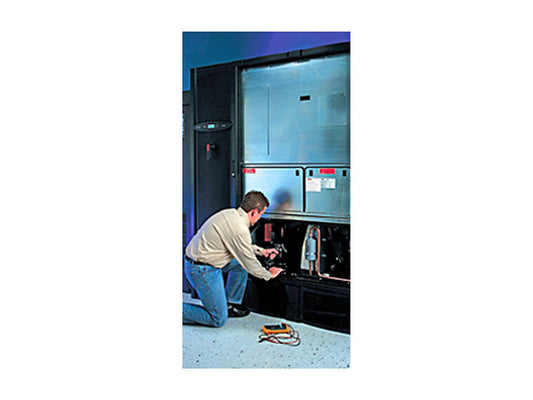 APC Preventive Maintenance 7x24 Semi-Annual Visit - Technical support - preventive maintenance - 1 year - on-site - 24x7